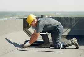 Best Roof Moss and Algae Removal  in Rosedale, CA